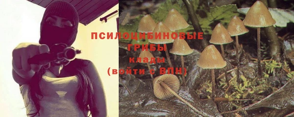 тгк Алексеевка