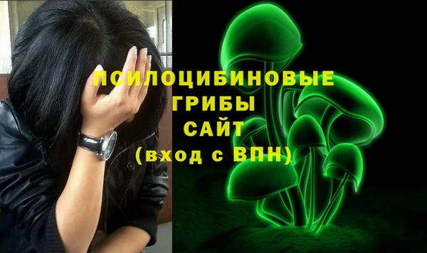 кокс Алзамай