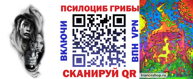 Псилоцибиновые грибы Cubensis  Купить  Семилуки 